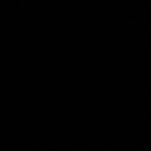 Meet your Posher, Bradey